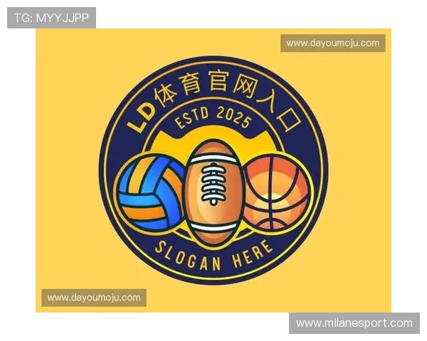 ld体育平台的客户服务与技术支持全方位介绍，确保用户问题快速解决